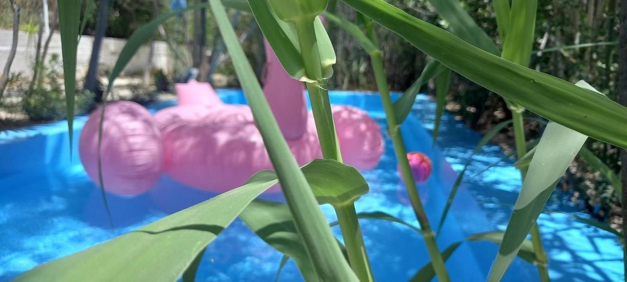 Luxury Loving Home トロン エクステリア 写真