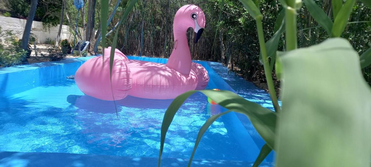 Luxury Loving Home トロン エクステリア 写真