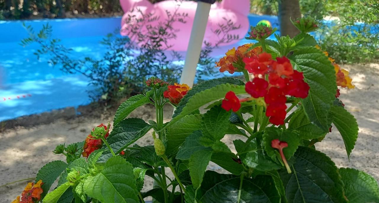 Luxury Loving Home トロン エクステリア 写真